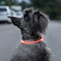 led-collar-for-pets-petlux-innovagoods-v0103458.jpg