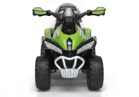 Quad-na-Akumulator-GTS1188-A-Zielony__1233864__1200.jpg