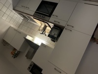 IMG_1500.jpeg