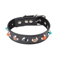 collar-with-thorns-465-cm-cn-632172462-clcn-632172462.jpg