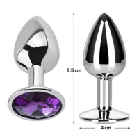 butt-plug-with-jewel-purple-amethyst-size-l-aluminium-ad-289-clad-289.jpg