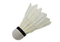 Zestaw-Lotek-z-Pior-Do-Gry-w-Badmintona-3-Sztki__1065055__1200.jpg