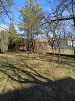 IMG_20260211_115421.jpg