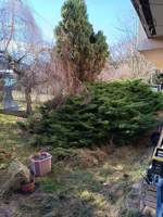 IMG_20260211_115334.jpg