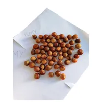 Soap Nut in PP Packaging,100g Soap Nuts for Hand Wash,How to Use RMY Soap Nuts Laundry Detergent,... - image 2
