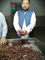 Pitted Aseel Dates Calories, Pitted Aseel Dates for Sale, Are Pitted Dates Seedless? - image 2
