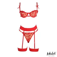 yvonne-bra-thong-and-garter-belt-set-with-hearts-red-a-323.jpg