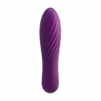 bullet-vibrator-svakom-lilac-s4005341-bbs4005341.jpg