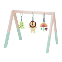 TOOKY-TOY-Baby-Gym-Stojak-Edukacyjny-Gimnastyczny-3-Zawieszki__1252487__1200.jpg