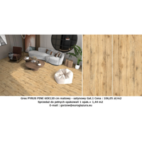 001.PYRUS.webp