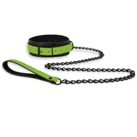 glow-in-the-dark-collar-with-leash-sl-153-clsl-153.jpg