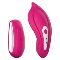 intense-massager-liebe-panty-pink-cherry-s4001071-bbs4001071.jpg