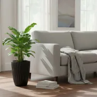 802d5b2ce2591fb0eb59c5f3d435e100.jpg