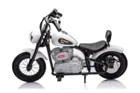 Motor-Na-Akumulator-A9902-36V-Bialy__1105863__1200.jpg