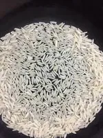 RMY 1121 Basmati Extra Long Grain White Rice ,RMY Long-Grain Rice Creamy White Long Basmati Rice ... - image 2