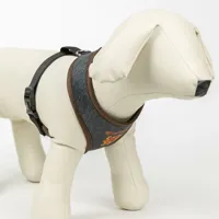 dog-harness-harry-potter-reversible-red-xs-s0738373-bbs0738373.jpg