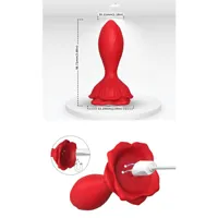 vibrating-anal-plug-with-rose-base-8436626093096-cl8436626093096.jpg