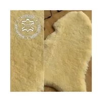 aa__6_.webp