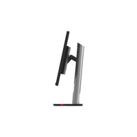 641335411.jpg