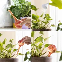 automatic-watering-globes-ballwooters-innovagoods-4-units-v0103627-bbv0103627.jpg