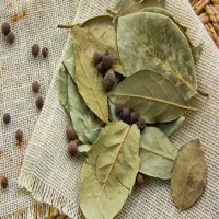 Amazing Health Benefits of using Bay Leaf | What Are Bay Leaves? | How can bay leaves benefit you? - image 3