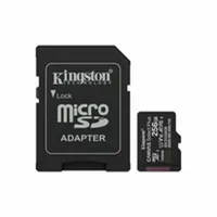micro-sd-memory-card-with-adaptor-kingston-sdcs3-256gb-256-gb-m0810712-bbm0810712.jpg
