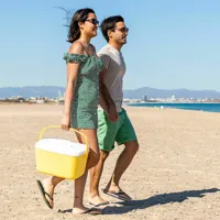 portable-rigid-cooler-lilty-innovagoods-15-l-v0103878-bbv0103878.jpg
