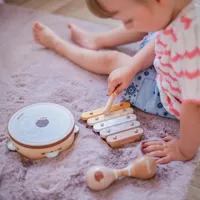 VIGA-PolarB-Zestaw-Instrumentow-Muzycznych-Z-Jezykiem__1258293__1200.jpg