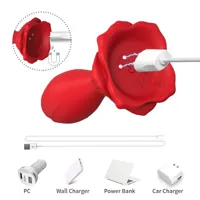 vibrating-anal-plug-with-rose-base-8436626093096-cl8436626093096.jpg