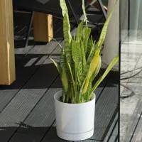 b449b8a3a42de8b934f9a48c6a3f5a15.jpg