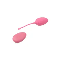 vibrating-egg-remote-control-sweety-teaser-usb-57-cn-801598826-clcn-801598826.jpg