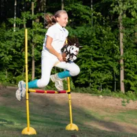 Hobby-Horse-Skippi-kon-na-kiju-Gniado-srokaty-A5__1125916__1200.jpg