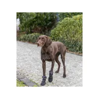 leg-protection-walker-trixie-19410-s0800434-bbs0800434.jpg