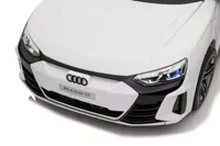 Auto-Na-Akumulator-Audi-E-Tron-GT-QLS-6888-Biale__829895__1200.jpg