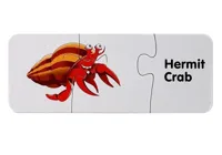 Puzzle-Edukacyjne-Ukladanka-Swiat-Oceanow-10-Polaczen__1046875__1200.jpg