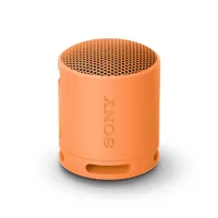 portable-bluetooth-speakers-sony-srsxb100d-orange-m0809743-bbm0809743.jpg
