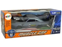 Auto-RC-Naklejki-Sportowe-1-20-Szare-Pilot__826070__1200.jpg