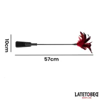 2-in-1-paddle-with-feather-8436615009527-cl8436615009527.jpg