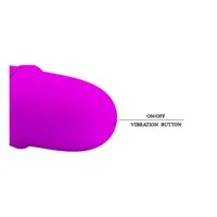 vibe-arnd-purple-bi-014289-clbi-014289.jpg