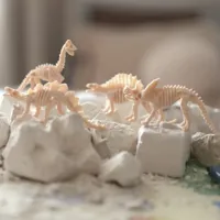 WOOPIE-Wykopalisko-Maly-Archeolog-6-Szkieletow-Dinozaurow__1257985__1200.jpg