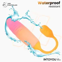 nexegg-motion-vibrating-egg-with-thrusting-app-orange-pink-in-348-03-clin-348-03.jpg