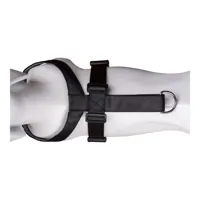 dog-harness-company-of-animals-carsafe-black-xs-s6103613-bbs6103613.jpg