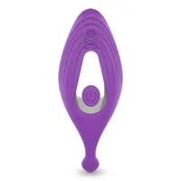 lunder-panty-stimulator-with-remote-control-usb-lt-182-cllt-182.jpg