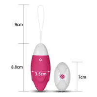 vibrating-egg-ijoy-remote-control-usb-pink-lo-lv1566-cllo-lv1566.jpg