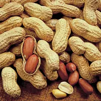 RMY Peanut , Peanut is Good For Health, What is the benefit of eating peanuts every day? - image 2