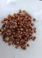 Soap Nut Shell Manufacturer from Pakistan,RMY 1kg Soap Nuts shells - image 2