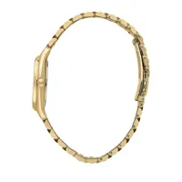 ladies-watch-lucien-rochat-r0453120502-s72103854-bbs72103854.jpg