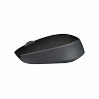 wireless-mouse-logitech-m171-wireless-mouse-black-1000-dpi-m0800526-bbm0800526.jpg