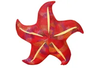Maskotka-Pluszowa-Rozgwiazda-Czerwona-Poduszka-20-cm__1107686__1200.jpg