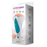 onalis-high-tech-masturbator-moan-and-vibrator-system-usb-lt-689-cllt-689.jpg